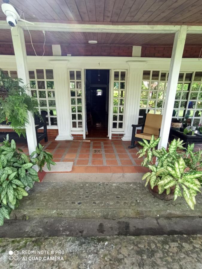 Villa Monica Montenegro Zewnętrze zdjęcie